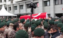 Şehit polis memuru Emre Albayrak için İstanbul İl Emniyet Müdürlüğünde tören düzenlendi