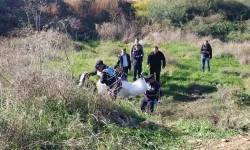 Antalya'nın Manavgat ilçesinde boş bir arazide erkek cesedi bulundu