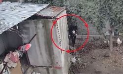Osmaniye’de kümeslerden tavuk çalan şüpheli tutuklandı; hırsızlık anı kamerada