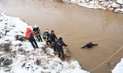 Otomobil sulama kanalına düştü; baba ve 3 çocuğu aranıyor