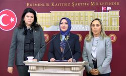 TBMM'deki taciz iddialarının takip edilmesi için komisyonda izlem grubu oluşturuldu