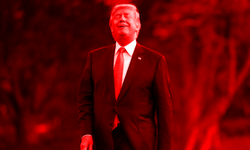 Hollywood: ‘Beyaz Saray'da kötücül bir narsist var’