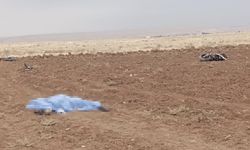 Üsteğmen, motosiklet kazasında hayatını kaybetti