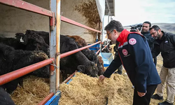 Bakan Yumaklı’dan kırmızı et ve hayvancılık destekleri İçin yeni açıklama