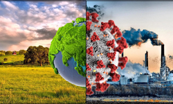 Küresel ısınma influenza virüsünü de etkiledi