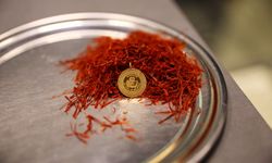 Kilosu 900 bin liraya ulaşan safran, mısır koçanı ve at kılı ile taklit ediliyor