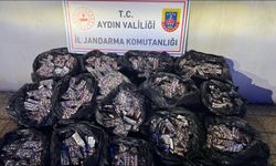 Aydın'da 152 bin 800 sentetik hap ele geçirildi