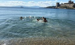 Bodrum ve Milas'ta yeni yılın ilk gününde deniz keyfi