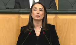 DEM Parti'li Hatimoğulları: Barış, oy hesabına ve seçim takvimine kurban edilemez