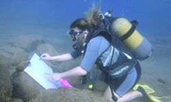 Emekli hemşire, 8 yıldır su altında resim yapıyor