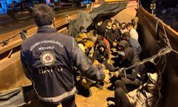 Hatay’da 174 kaçak göçmen yakalandı