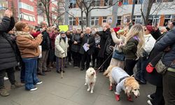 Hayvanseverlerden 'Matmazel' için basın açıklaması