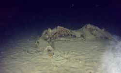 THY'nin 50 yıl önce düşen uçağının enkazından yeni parçalar bulundu