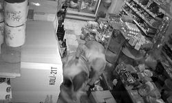 Kendisinden kaçıp, markete sığınan küçük kızı darbedip, bıçakladı