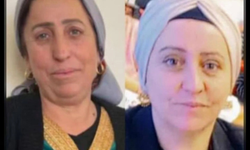 Mardin'de çifte cinayetin şüphelisi tutuklandı