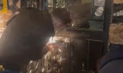 Polis spiralle kapıyı keserek baskın yaptı; 43 kişiye 498 bin lira kumar cezası