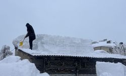 Türkiye'nin en soğuk yeri, eksi 32,7 derece ile Hakkari oldu