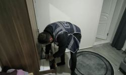 Aydın merkezli 6 ilde vize dolandırıcılığı operasyonu: 12 tutuklama