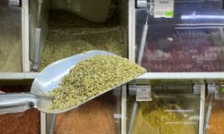 'Baharat sektörü tağşişe çok açık'