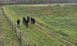 Bilecik'te 20 yıl önce kaybolan 3 kişinin öldürülerek gömüldüğü ortaya çıktı