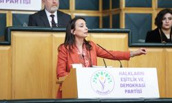 DEM Parti'li Hatimoğulları: İnfaz rejimi toplumsal barışı güçlendirmelidir