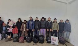 Edirne’de 14 kaçak göçmen yakalandı