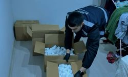 Evlerinden 230 bin hap çıkan anne-oğula gözaltı