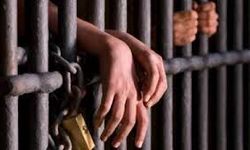 TBMM Suça Sürüklenen Çocuklara İlişkin Araştırma Komisyonu toplandı