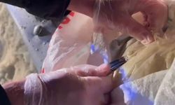 25 ilde uyuşturucu operasyonları: 99 tutuklama