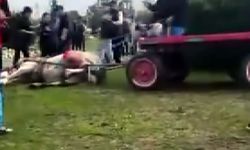 Atlara koşmadığı için şiddet uygulayan şüphelilere hayvan barınağında çalışma cezası