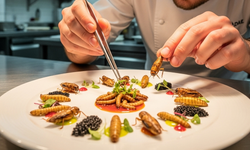 ‘Gastronomide şefler böcek proteinine yöneliyor’