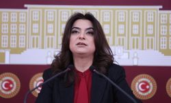 DEM Parti'li Koçyiğit: Süreç yasaları, hızlı bir şekilde Meclis'e getirilerek yasalaşmalı