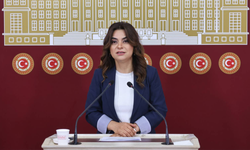 DEM Parti'li Koçyiğit: Hukuki düzenlemeler bütüncül perspektifle hayata geçirilmeli