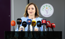 DEM Parti'li Doğan: Yasal düzenleme beklemeyen adımları yapabiliriz