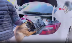 73 ilde uyuşturucu madde satıcılarına operasyon: 958 şüpheli yakalandı