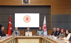 Komisyon raporu: Çocukların korunması için Cumhurbaşkanlığı'na bağlı birim oluşturulmalı