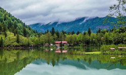 Bakanlıktan, Milli Parklar Kanun teklifi ile ilgili eleştirilere açıklama