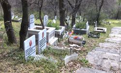 Türkiye'nin ilk evcil hayvan mezarlığına bayram ziyareti