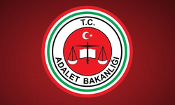 Adalet Bakanlığı Ceza İşleri Genel Müdürlüğü altında 7 daire başkanlığı kuruldu