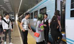 Dijital biletle 3 bin ağacın kesilmesi önlendi