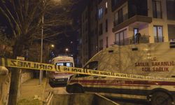 Çekmeköy'de annesi ve ağabeyini silahla öldürüp, diğer ağabeyini yaralayan şüpheli yakalandı