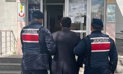 Çok yediğini iddia ettiği köpeğini ağaca asıp öldüren şüpheli tutuklandı