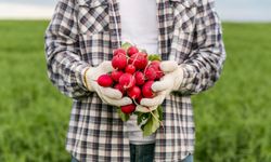 Bakan Yumaklı: 12 milyar 813 milyon TL tarımsal destek ödemesini çiftçilerimizin hesaplarına aktarıyoruz