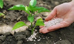 Azotlu ve kompoze gübrelerin gümrük vergileri sıfırlandı