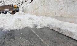 Şırnak kara yolu çığ nedeniyle kapandı