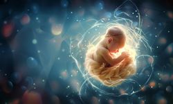 ‘Yapay zeka, tüp bebek tedavisinde gebelik şansını artırıyor’