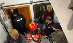 Avcılar'da 13 köpeğiyle yaşadığı dairede uyuyakaldı; itfaiye kapıyı kırınca uyandı