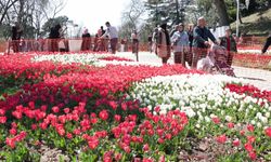 İstanbul'da lale zamanı; tarihi park ve korulara 3 milyon 580 bin lale dikildi