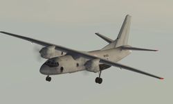 Kırım Yarımadası'nda askeri nakliye uçağı düştü: 29 ölü