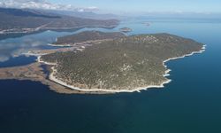 Yapay zekanın, 2027 yılında 6 milyar metreküp su tüketmesi bekleniyor